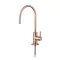 Primato Rose Gold